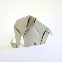 
<span>Elephant</span>
