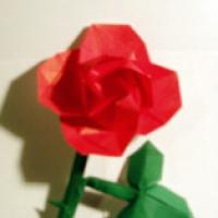 
<span>Rose Stem for Rose by Kawasaki</span>
