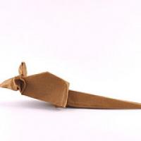 
<span>Mouse</span>
