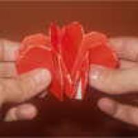 
<span>Love Me Love Me Not</span>
