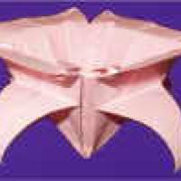 
<span>Flower</span>
