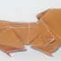 
<span>Dachshund</span>
