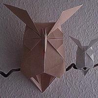 
<span>Owl</span>
