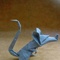 
<span>Rat</span>
