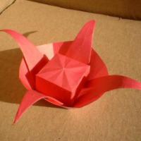 
<span>Box Bloom</span>
