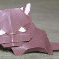
<span>Cat</span>
