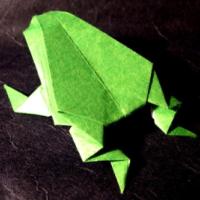 
<span>Jumping Frog</span>
