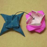 
<span>Base for Modified Kawasaki Rose</span>
