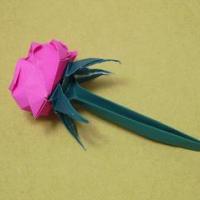 
<span>Stem</span>
