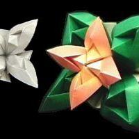 
<span>Flower</span>
