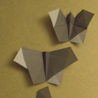 
<span>Butterfly</span>
