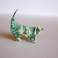 
<span>$ Cat</span>
