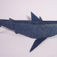 
<span>Tiburon</span>

