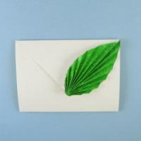 
<span>Leaf Notecard</span>
