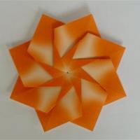 
<span>Florette</span>
