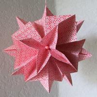 
<span>Star</span>
