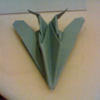 
<span>F-117 Night Hawk</span>
