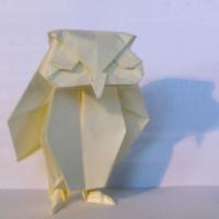 
<span>Scops Owl</span>
