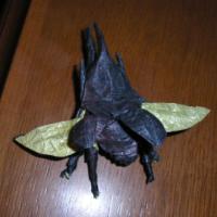 
<span>Dinastes Neptunus flying</span>
