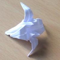 
<span>Iris</span>
