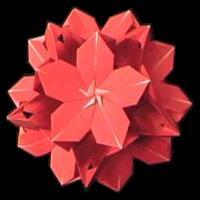
<span>Poinsettia</span>
