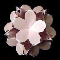 
<span>Plumeria</span>

