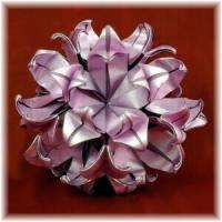 
<span>Waterlily</span>
