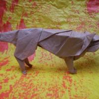 
<span>Wolf</span>
