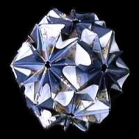 
<span>Stella</span>
