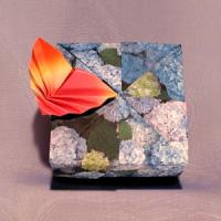 
<span>Square Box Rabbit and Butterfly</span>
