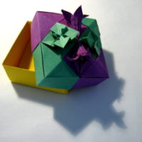 
<span>Square Box Lily</span>
