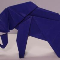 
<span>Elephant </span>
