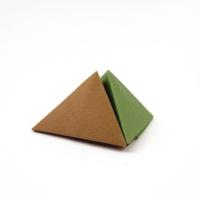 
<span>Card Holder</span>
