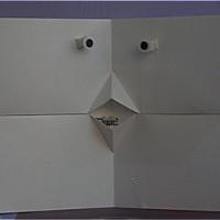 
<span>Chick Card</span>

