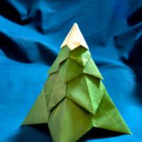 
<span>Evergreen Tree</span>
