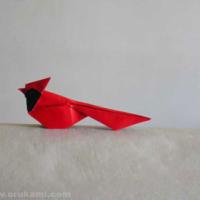 
<span>North American Cardinal</span>
