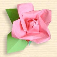 
<span>Tea Rose</span>
