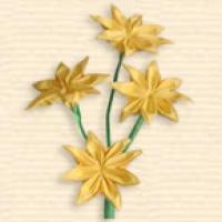 
<span>Coreopsis Moonbeam</span>
