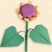 
<span>Sunflower</span>
