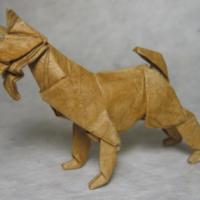 
<span>Dog</span>
