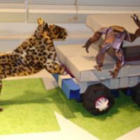 
<span>Safari Truck</span>
