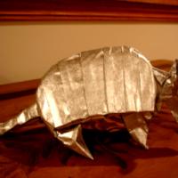 
<span>armadillo</span>
