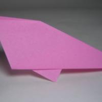 
<span>bird</span>
