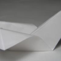 
<span>Aquatic Bird</span>
