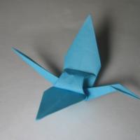
<span>Stork</span>
