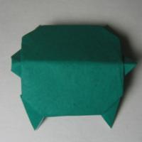 
<span>Tortoise</span>
