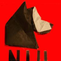 
<span>Huskie NIU</span>
