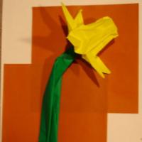 
<span>Dafodil</span>
