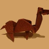 
<span>Camel</span>
