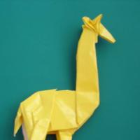 
<span>Giraffe</span>
